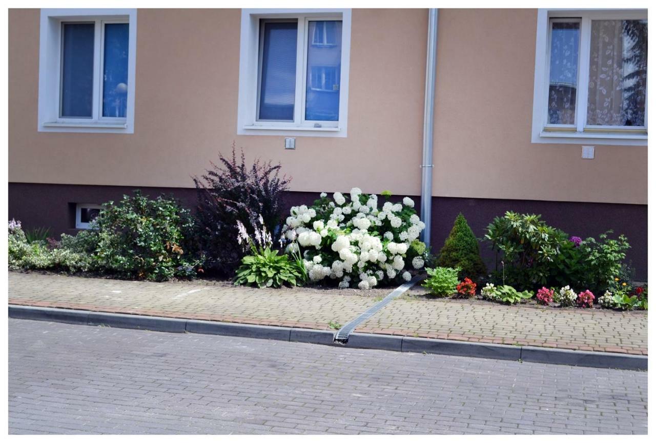 Color24 Apartament Stalowa Wola Exterior foto